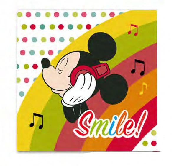 Disney Pyjamakussen Mickey Mouse 40 X 40 Cm Polyester